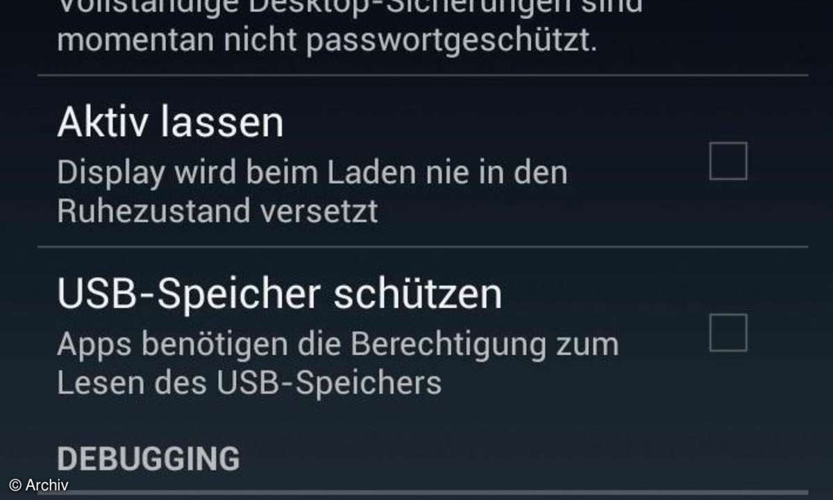 Screenshot Entwickleroptionen