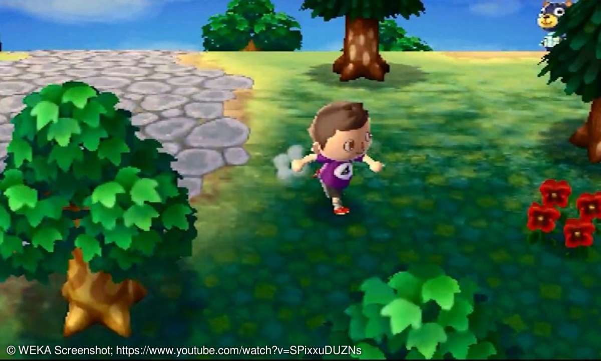 Animal Crossing (Nintendo DS, Nintendo 3DS)