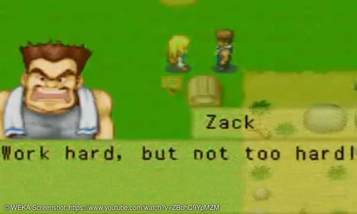 Harvest Moon (Gameboy, GBA, Nintendo DS, 3DS)