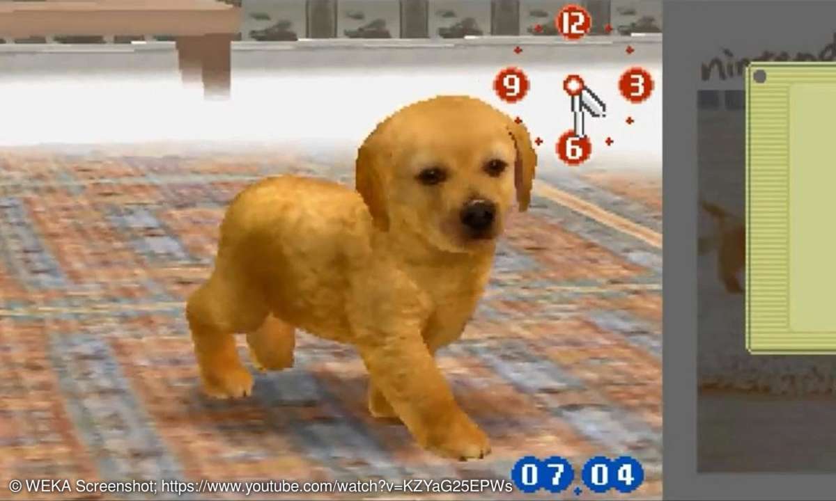 Nintendogs (Nintendo DS)