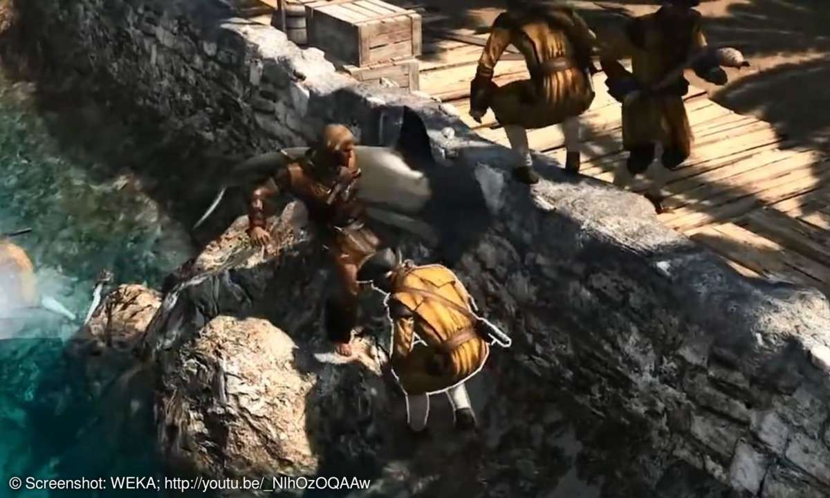 Assassin's Creed Black flag