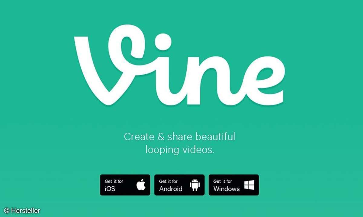 Vine Display Screenshot