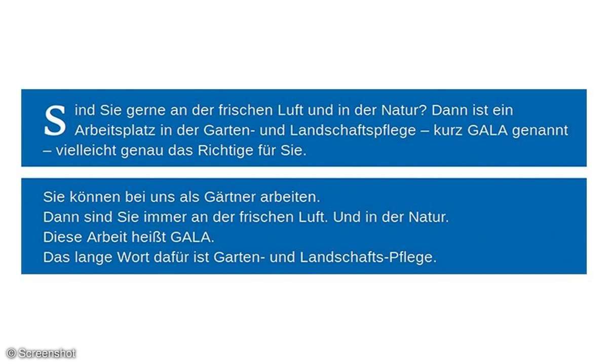 Barrierefreiheit,Intalte,Web