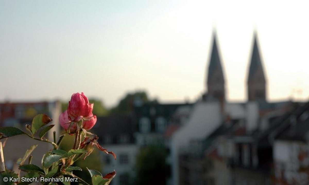 Schärfentiefe
