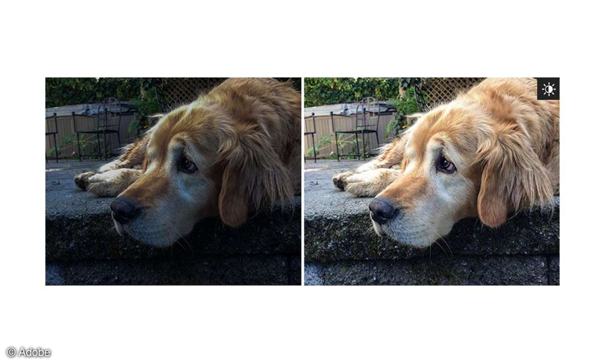 Photoshop Express, Editor, Screenshot