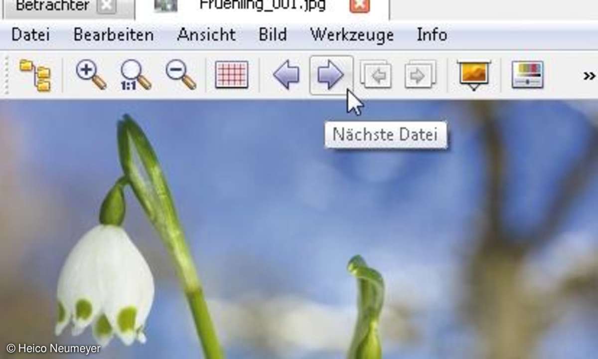 XnView MP, XnView.