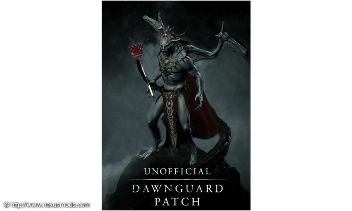 Skyrim Patch