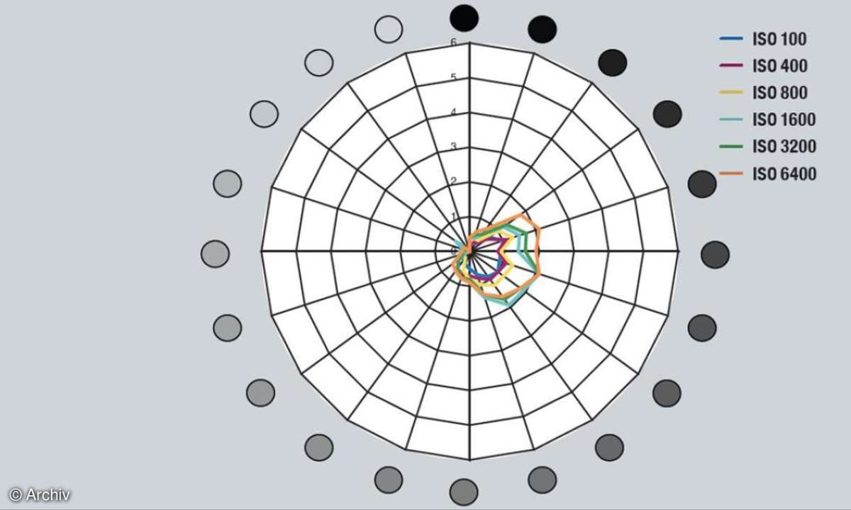 Rauschwahrnehmung (Visual Noise)