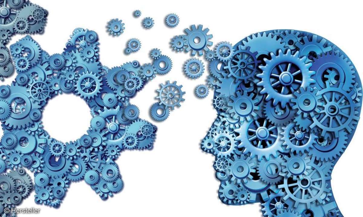 Unternehmensführung,Management,Intuition