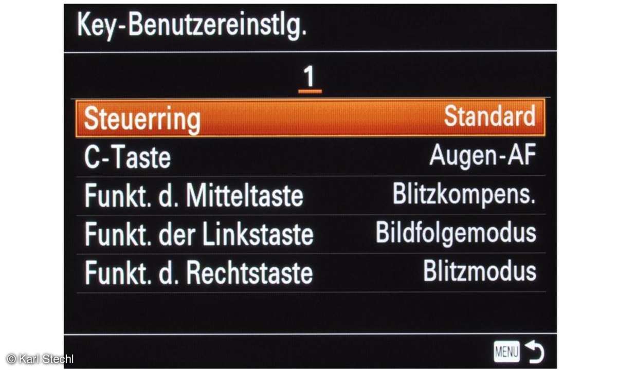 Sony RX100 III, Bedienung, Screenshot