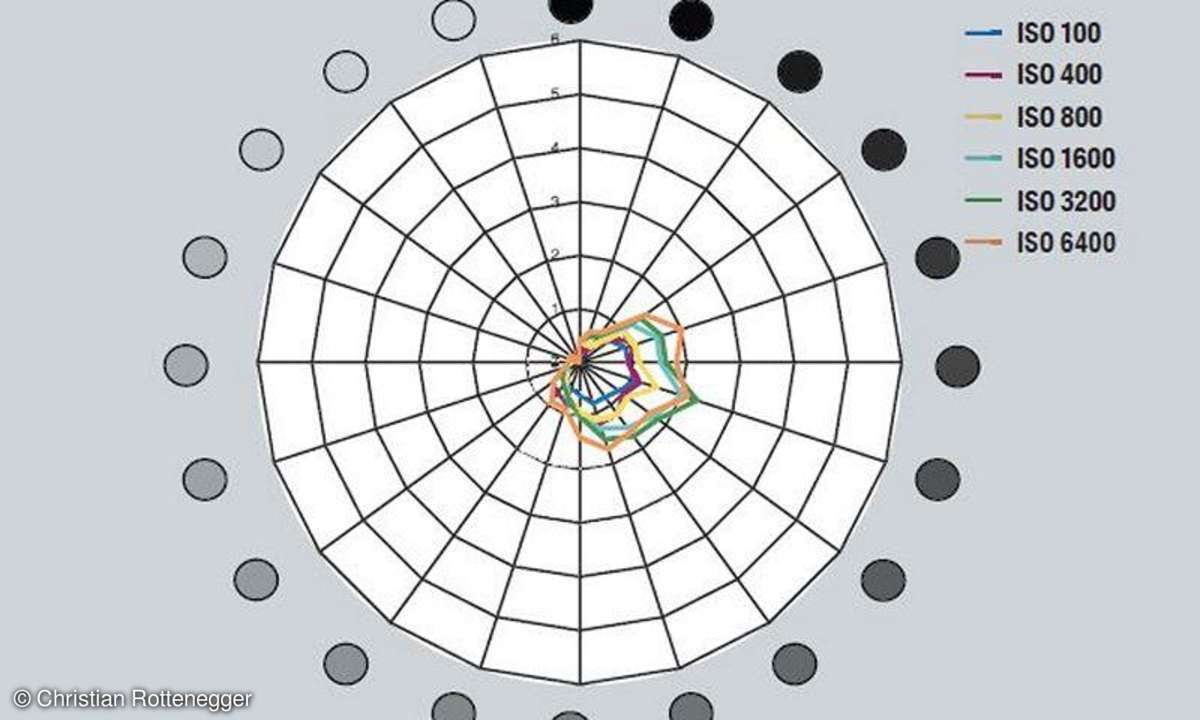 Rauschwahrnehmung (Visual Noise)