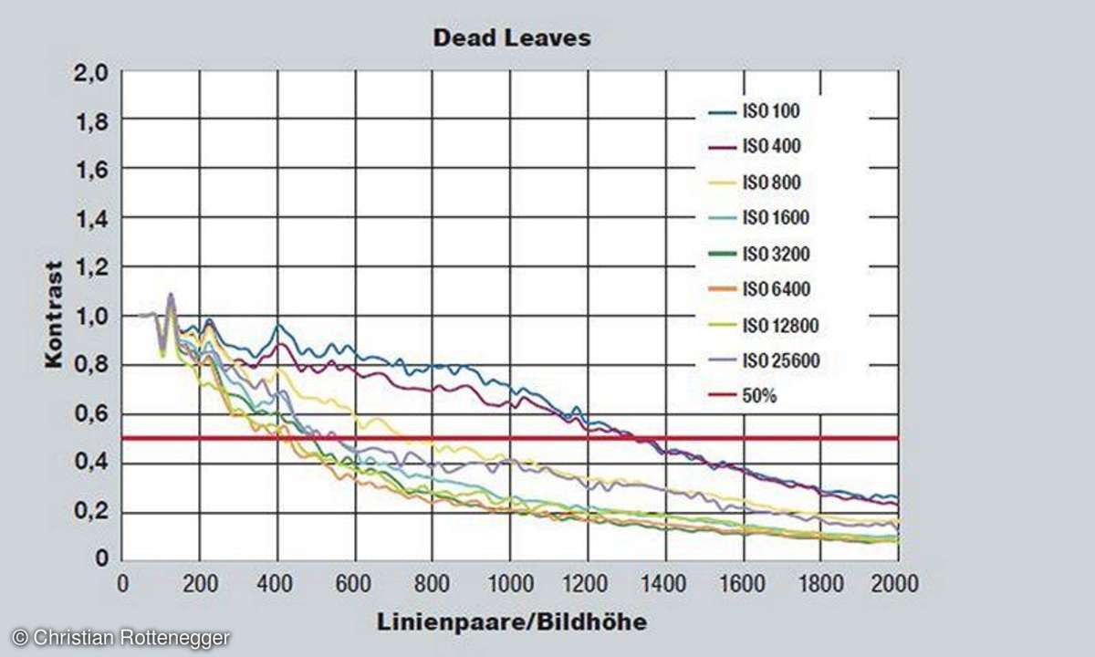 Dead Leaves