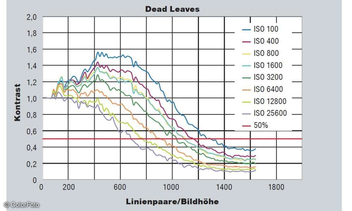 Nikon, D4s, Dead Leaves