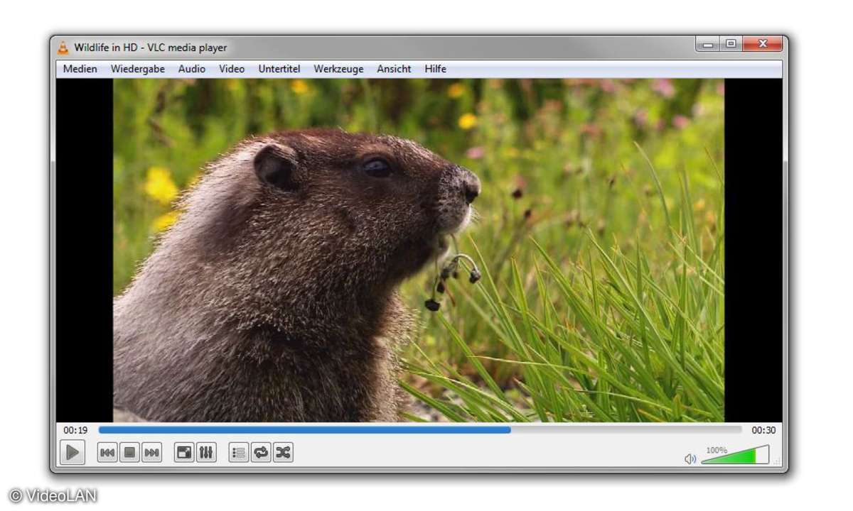 VLC Media Player