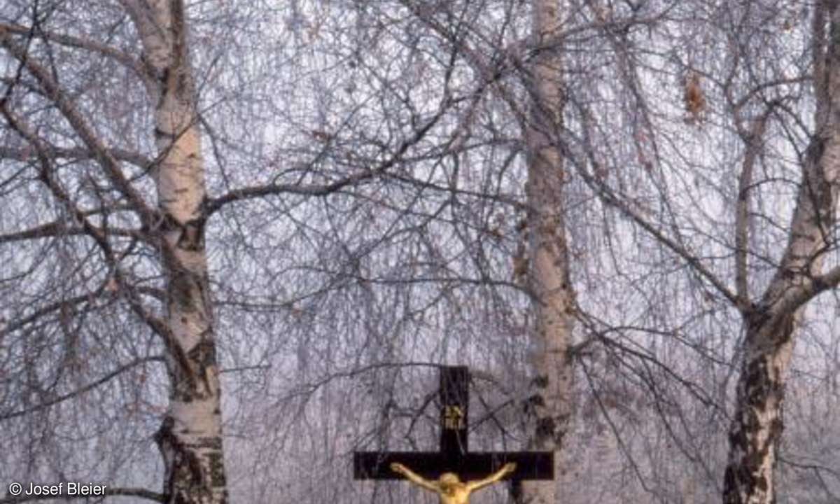 Motiv im Nebel