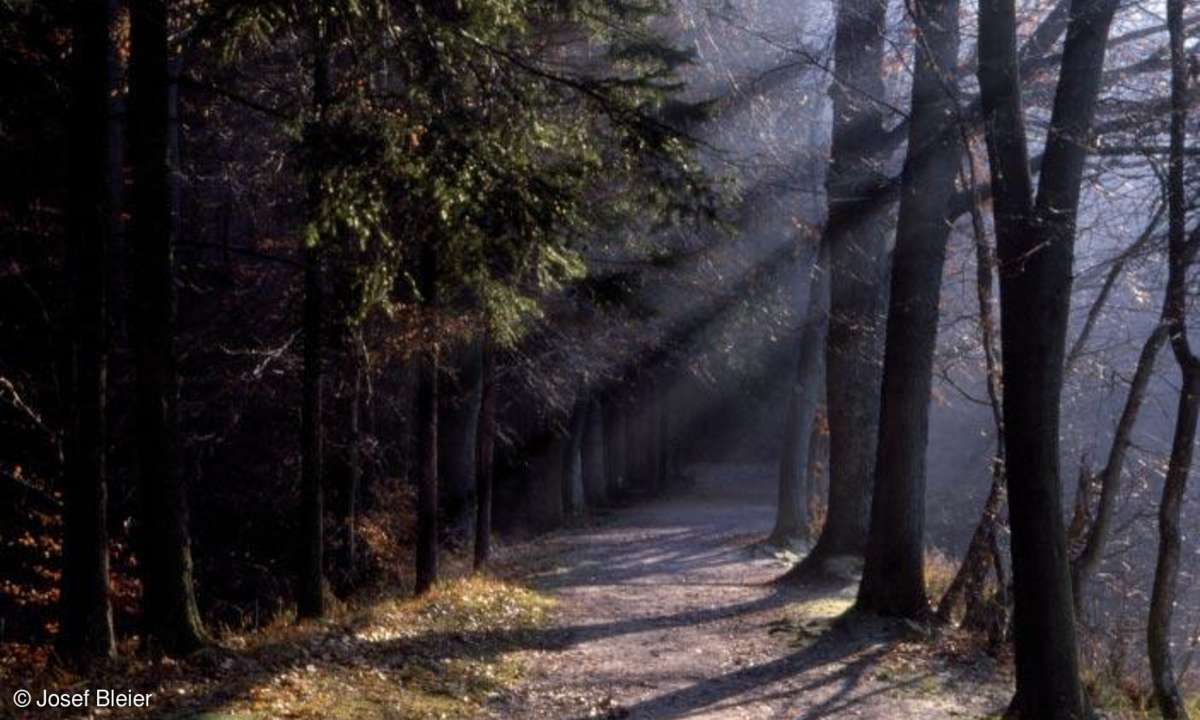 Fotografieren bei Sonne