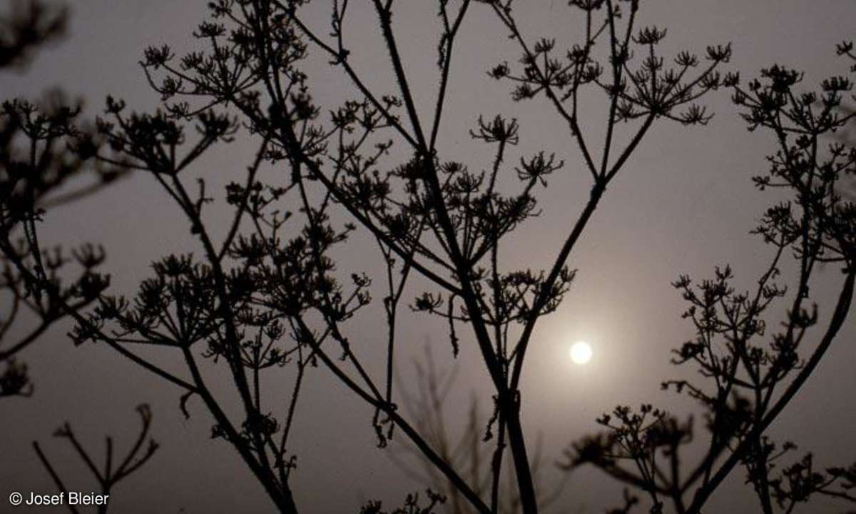 Fotos mit Licht und Nebel