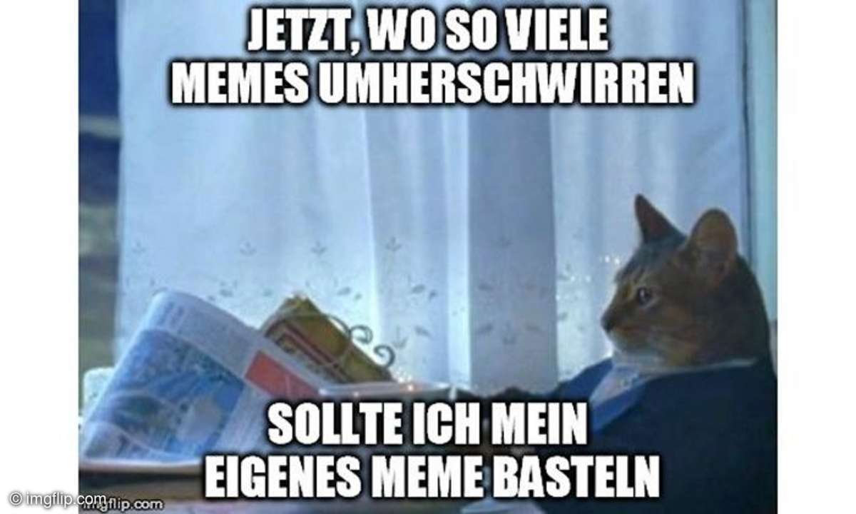 In unserer Galerie finden Sie die derzeit 10 beliebtesten Memes und die besten Meme-Generators dazu.