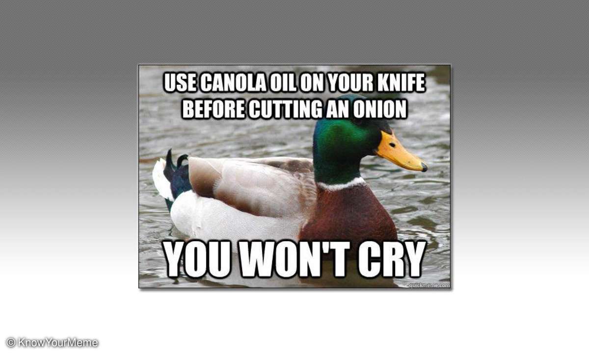 Actual Advice Mallard
