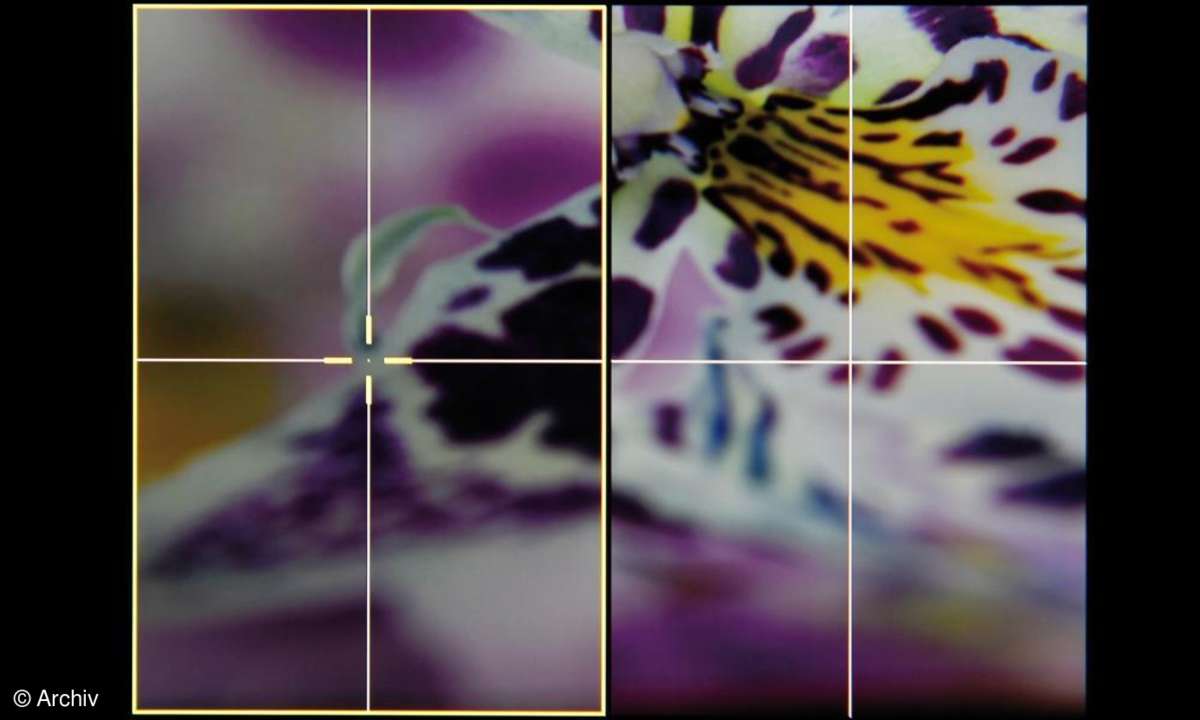 Nikon D810