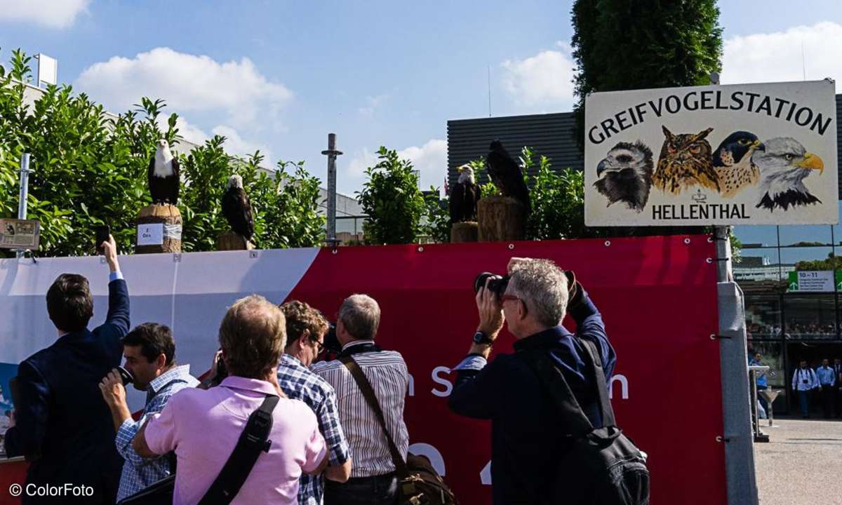 Photokina 2014 - Impressionen