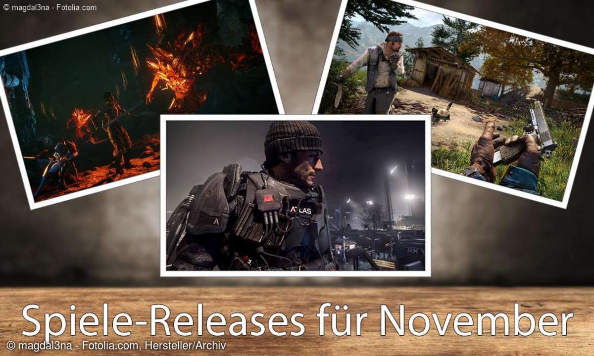 Spiele-Releases 2014: Wir verraten Ihnen alle wichtigen Neuerscheinungen im November.