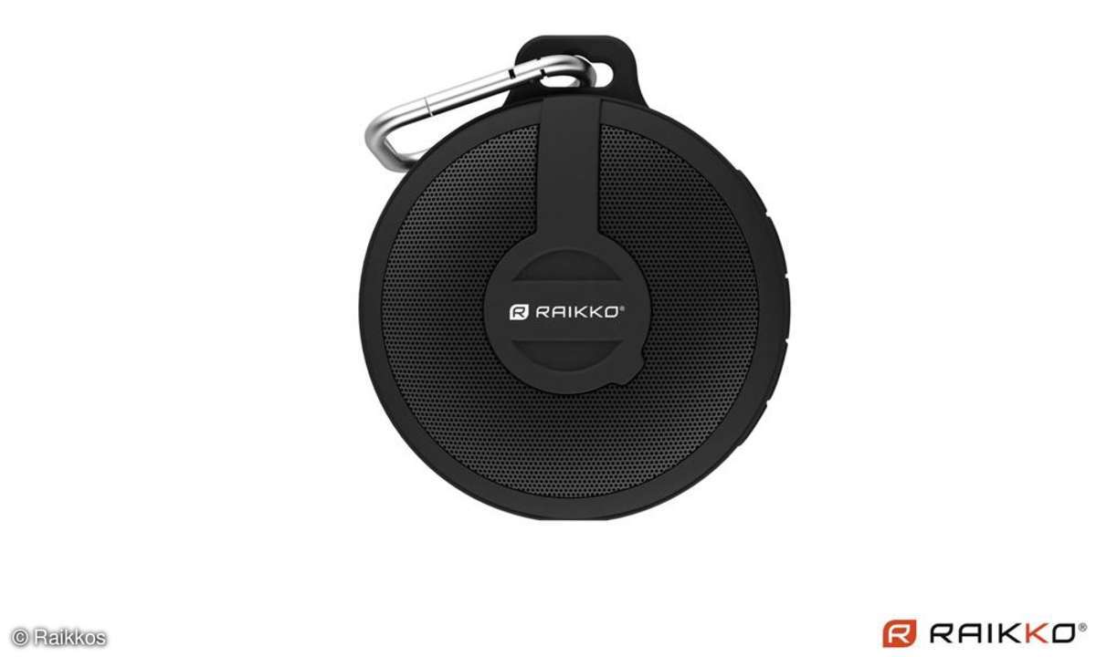 Raikkos Bass Disc