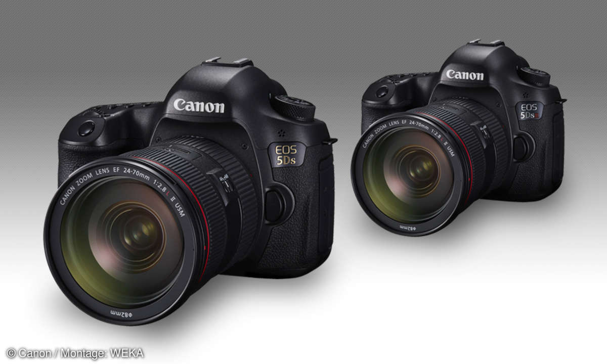 Canon EOS 5DS und Canon EOS 5DS R