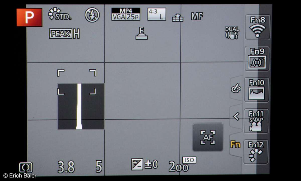 Panasonic GX8: Display