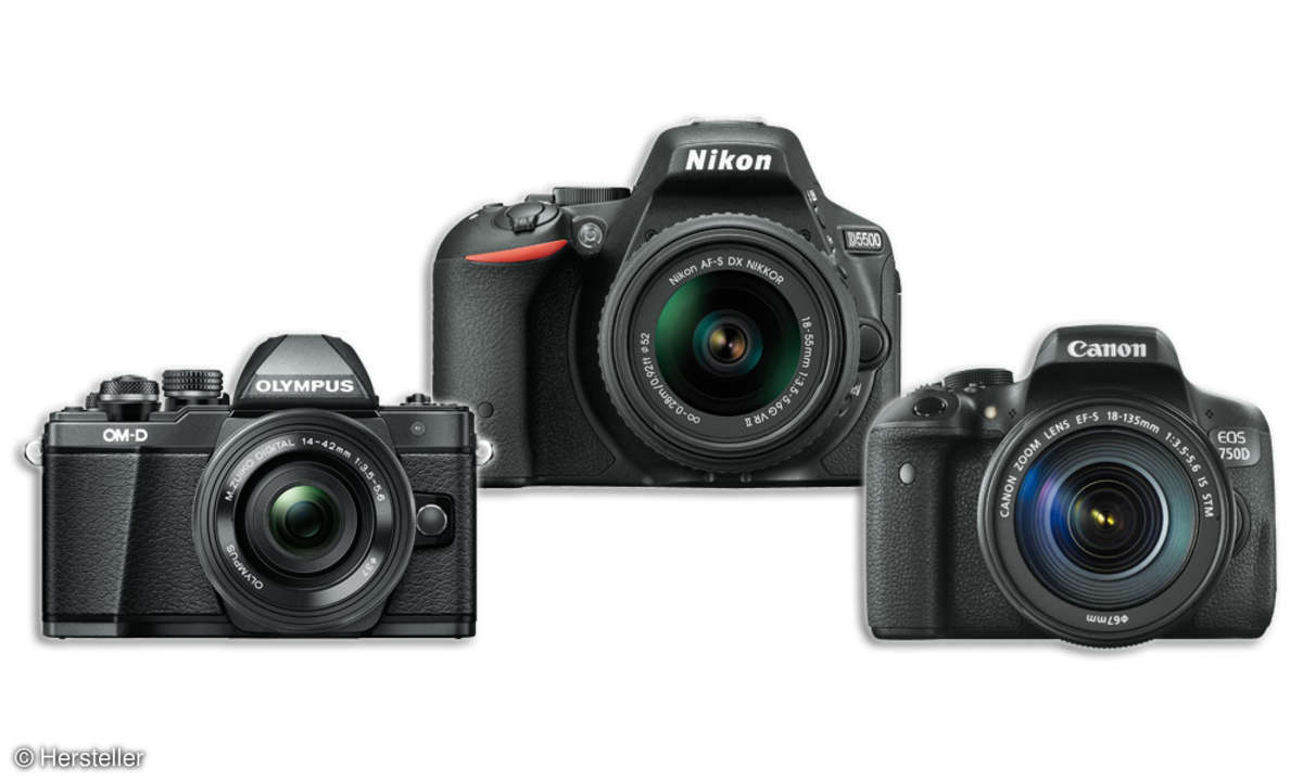 Olympus OM-D E-M10 Mark II, Canon EOS 750D und Nikon D5500