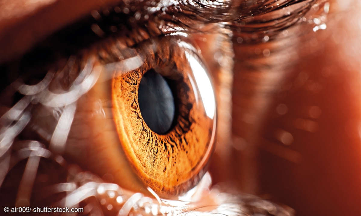 Auge - Shutterstock 243238471