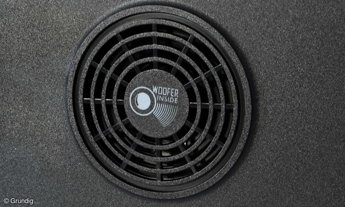 Grundig 55VLX8582BP Woofer