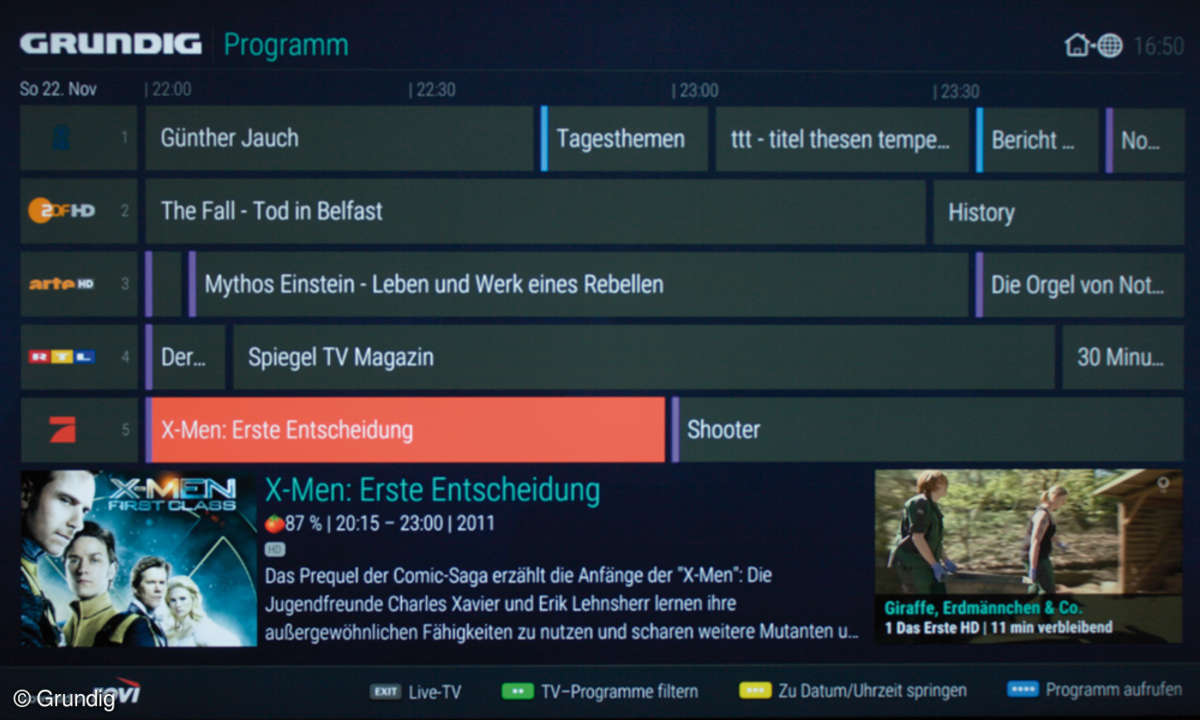 Grundig 55VLX8582 Screen