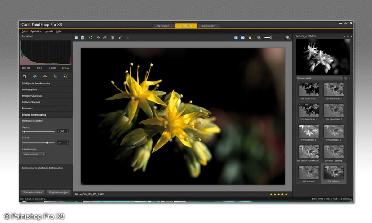 Corel PaintShop Pro X8 - Anpassen