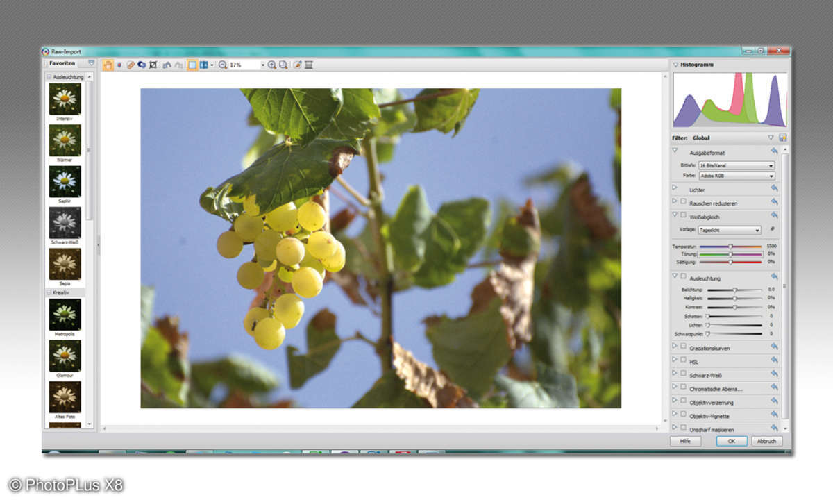 Serif PhotoPlus X8 - RAW