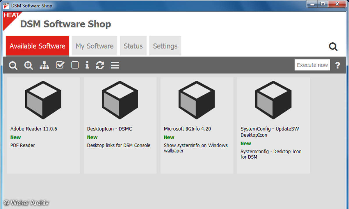 Screenshot: DSM-Software-Shop