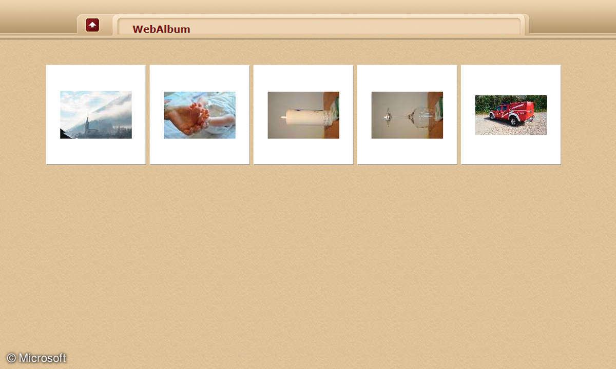Microsoft Ability Office Web-Album