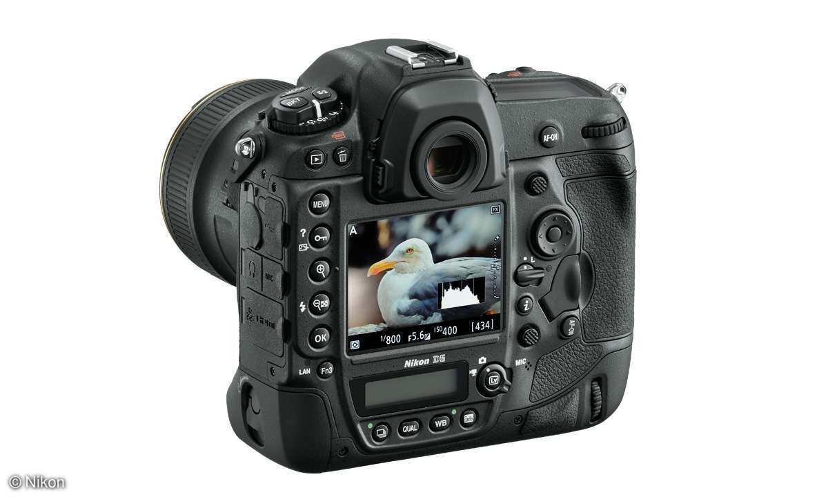 Nikon D5 Monitor