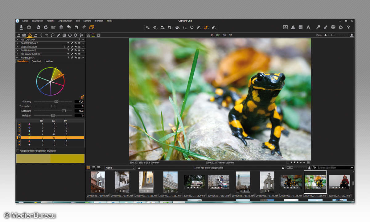 Phase One Capture One Pro 9