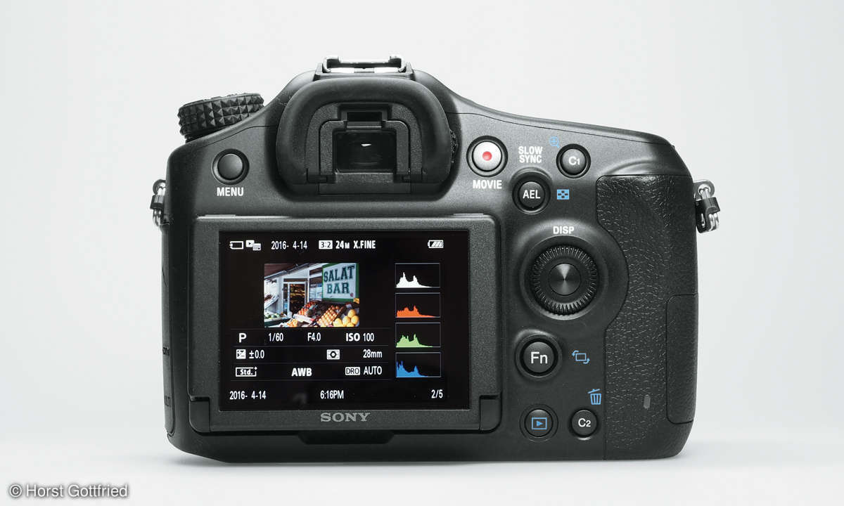 Sony Alpha 68 Aufnahmeinformationen