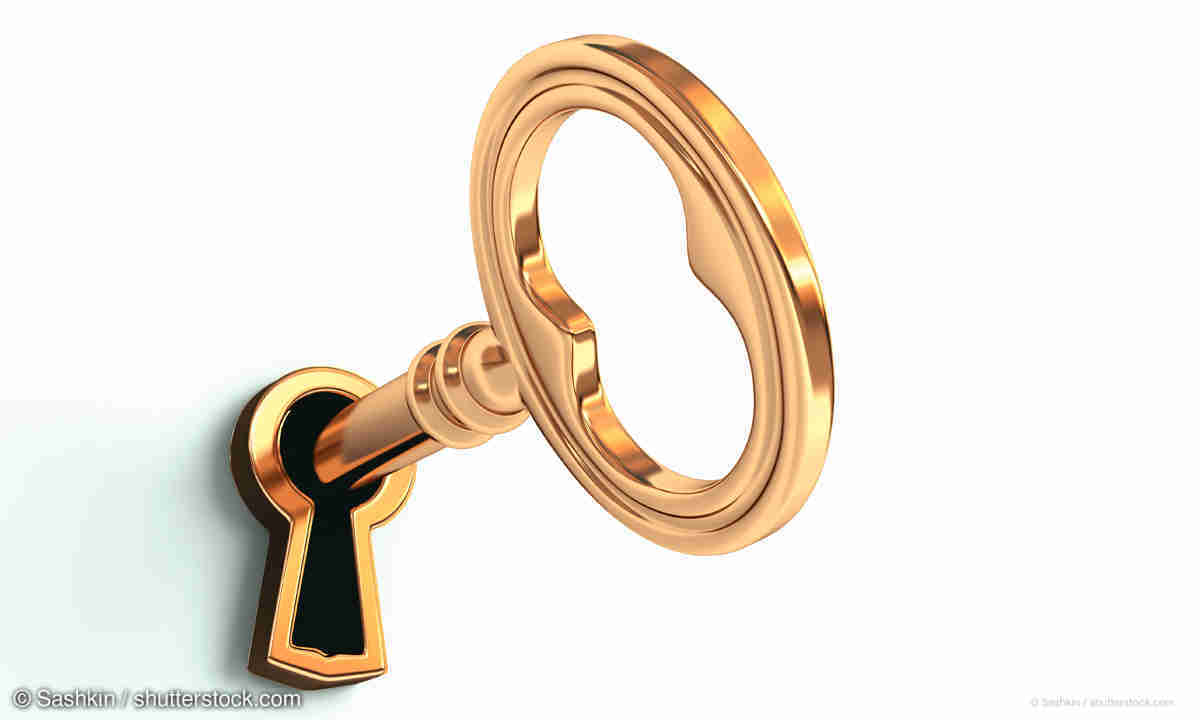 Ransomware entfernen und Daten entschlüsseln: Tipps, die helfen -  connect-living