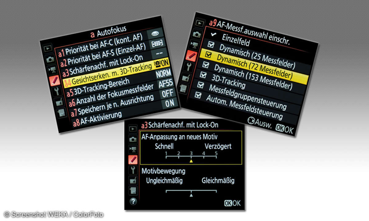 AF-Einstellungen