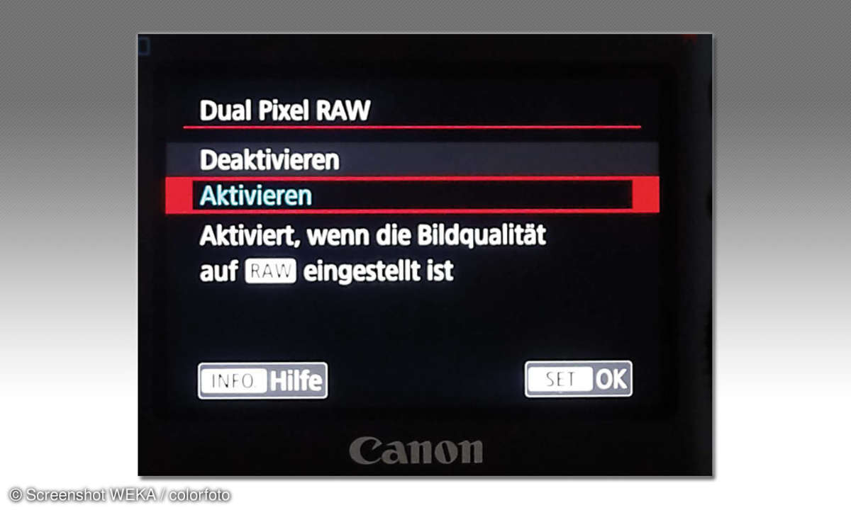 Dual Pixel RAW