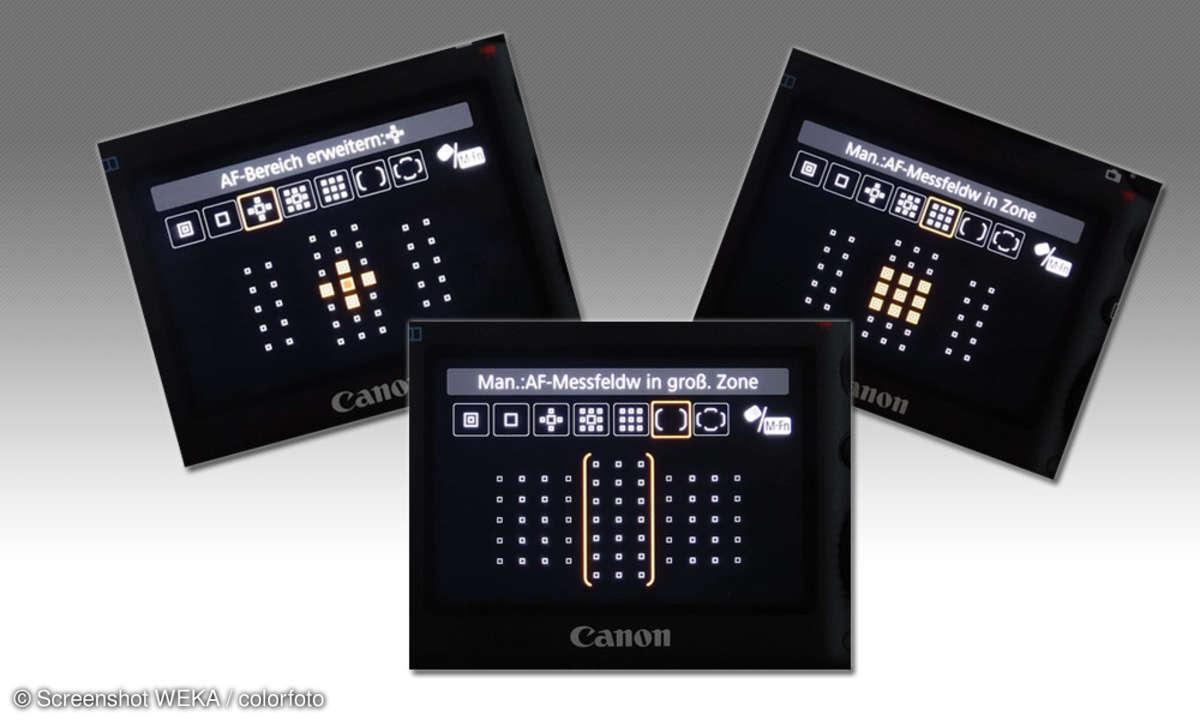 Canon AF-System