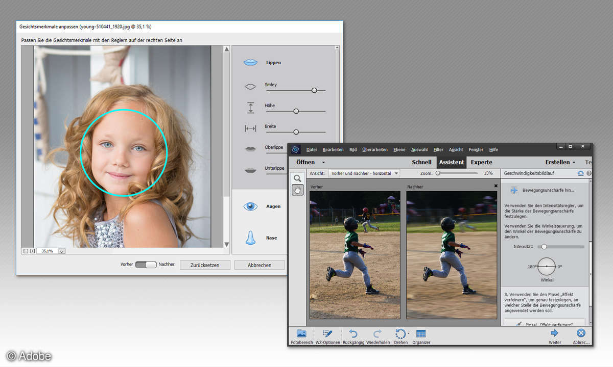 Photoshop Elements 15 Porträts und Effekte