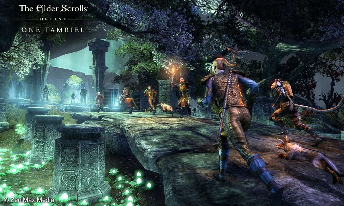 The Elder Scrolls Online - One Tamriel Screenshot