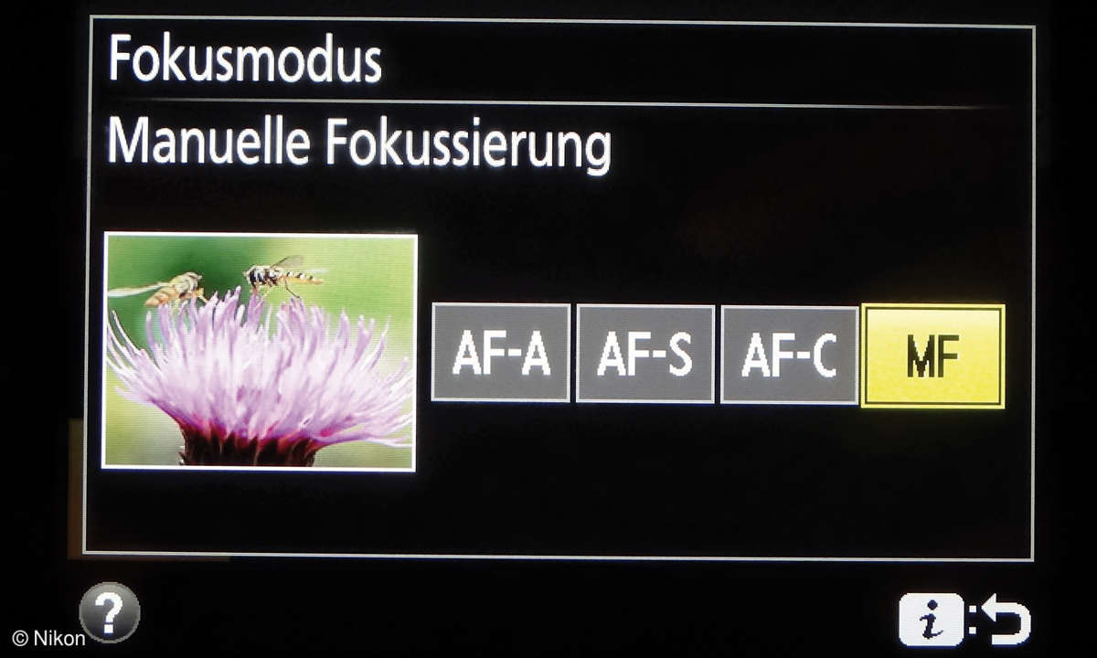 Nikon D3400 Autofokus