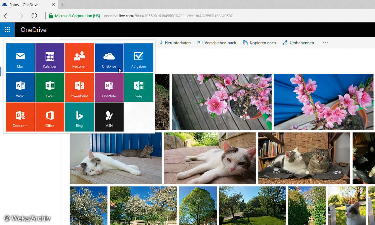 OneDrive Menü