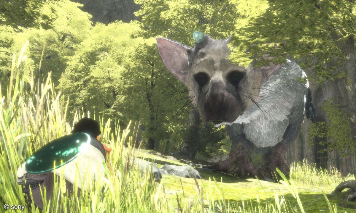 The Last Guardian im Test