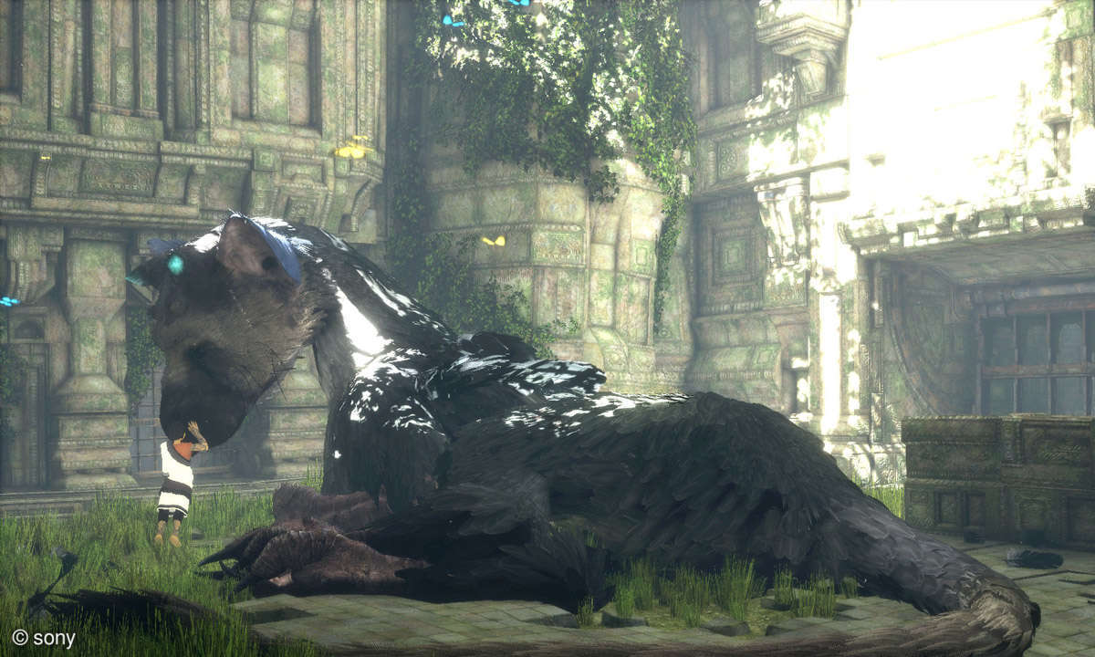 The Last Guardian im Test
